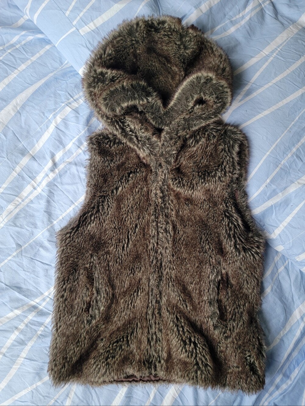 Faux Fur Hooded Vest